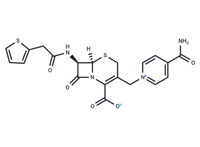 Cephalonium