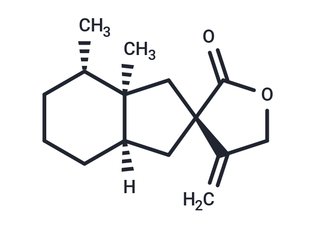 Bakkenolide A