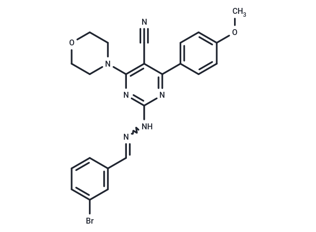 PI3K-IN-33