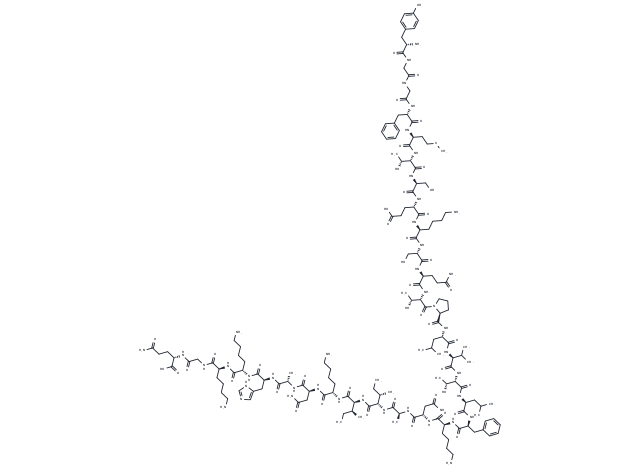 β-Endorphin, rat