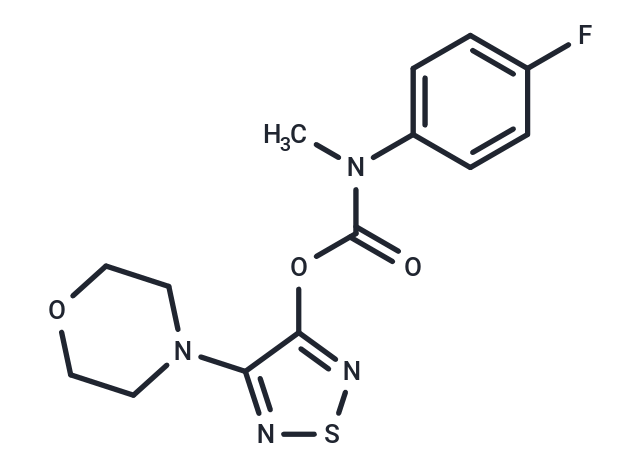 JZP-MA-13