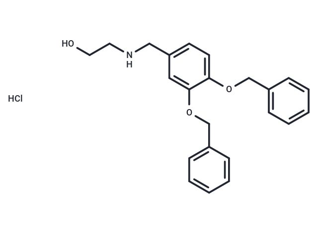 XIE62-1004