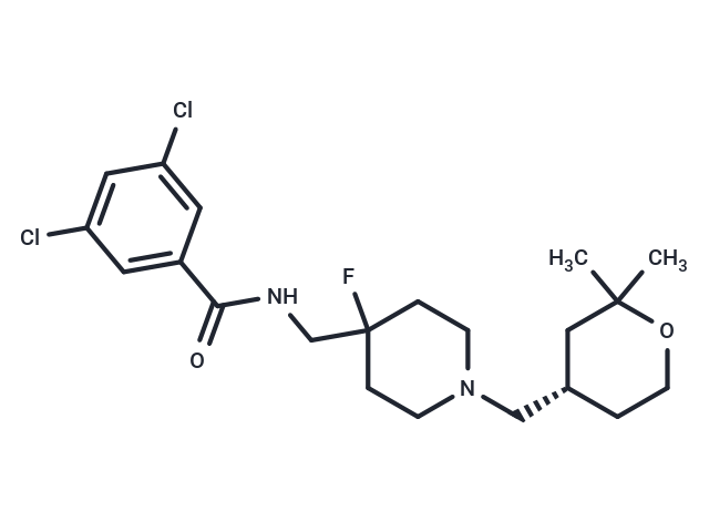 TTA-P2