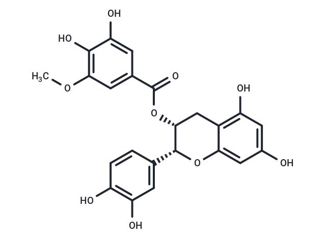 (-)-Epicatechin-3-(3''-O-methyl) gallate