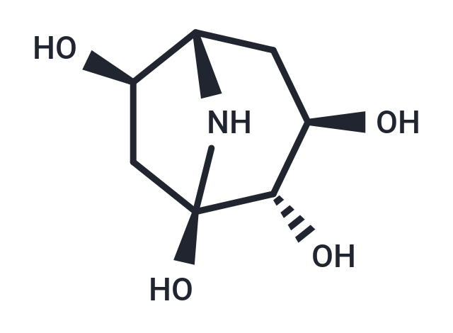 Calystegine B1