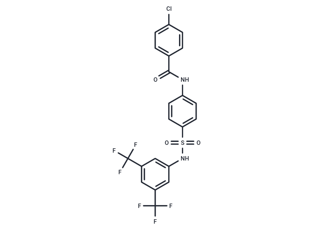 CCG-977