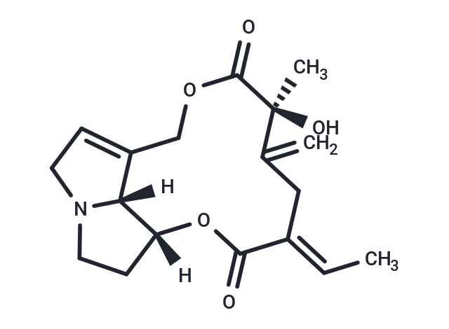 Spartioidine