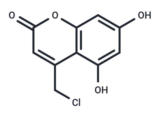 DNA polymerase-IN-1