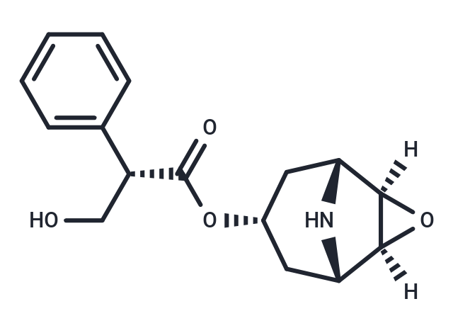 Norscopolamine