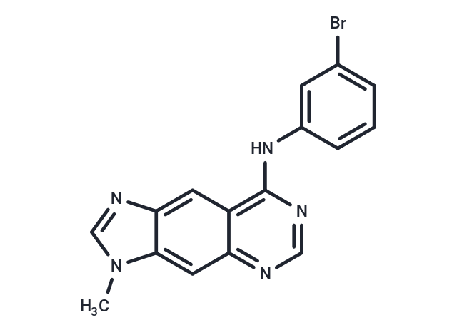 BPIQ-I