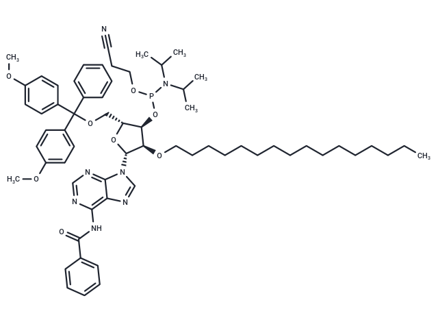 N6-Bz-5’-O-DMTr-2’-O-hexadecanyl adenosine 3’-CED phosphoramidite