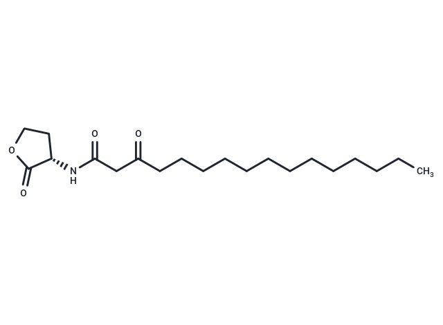 N-3-oxo-hexadecanoyl-L-Homoserine lactone