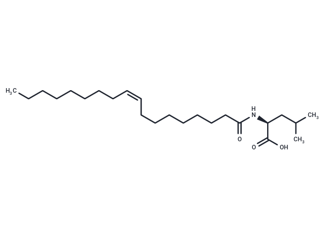 N-Oleoyl Leucine