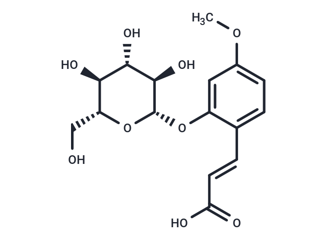 Z-GMCA