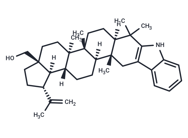 2,3-Indolobetulin