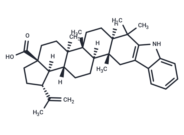 2,3-Indolobetulonic Acid