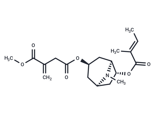 Schizanthine G