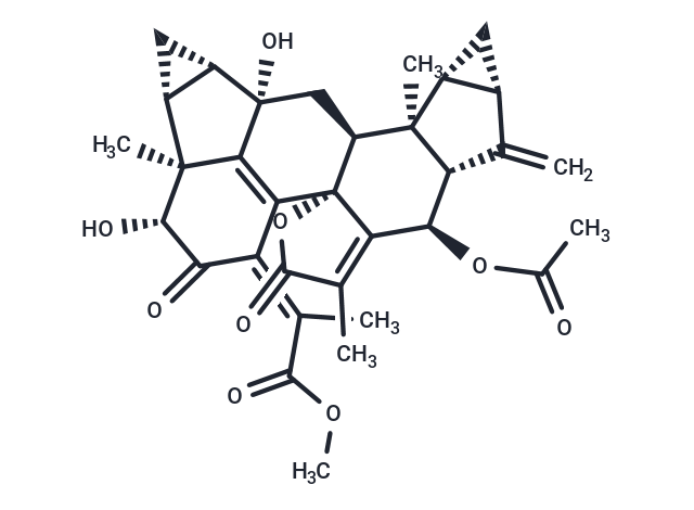 Chlorahololide C