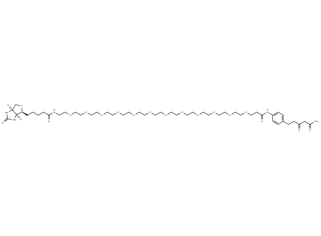 Diketone-PEG12-Biotin