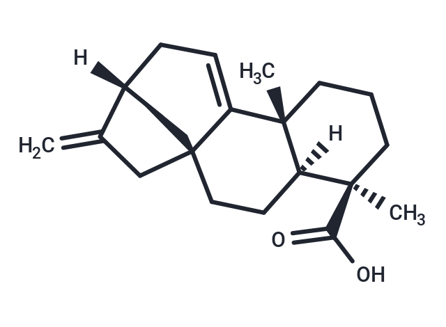 Grandiflorenic acid