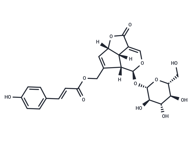 10-O-Coumaroyl-10-O-deacetylasperuloside