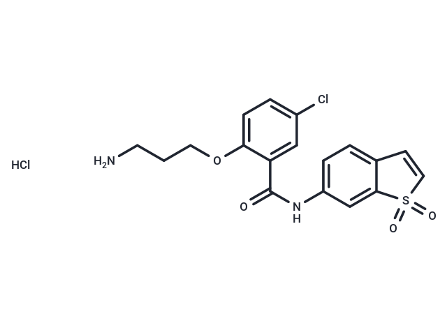 HJC0416 hydrochloride