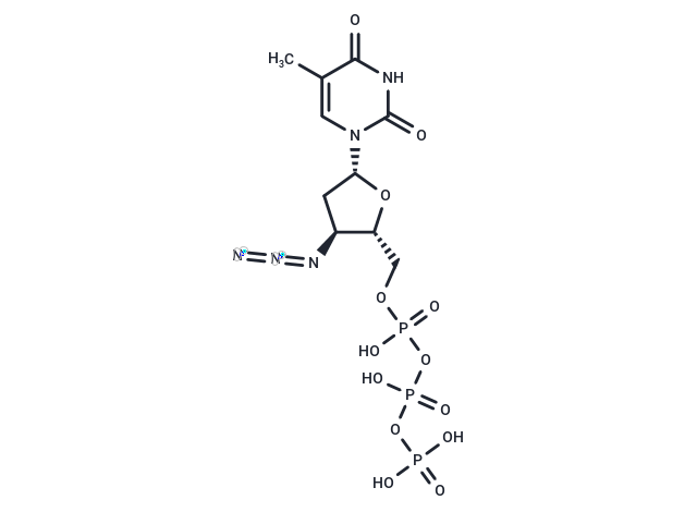 AZT triphosphate