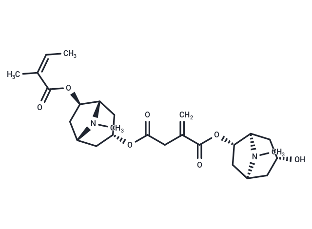 Schizanthine E