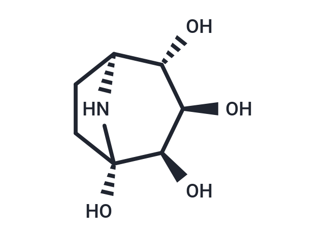 Calystegine B3