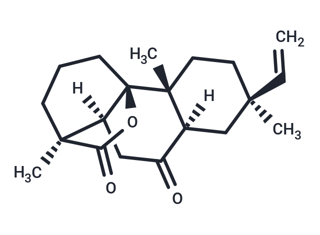 Rosenonolactone