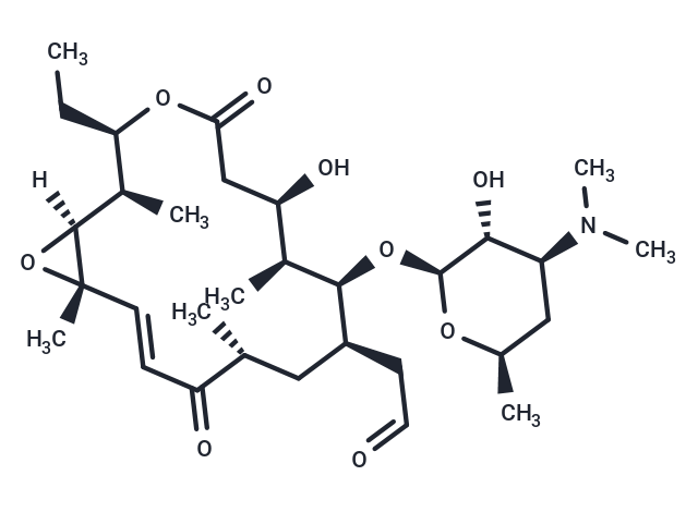 Rosaramicin