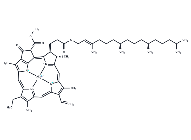 Chlorophyll a