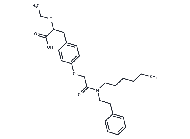 PPARα-MO-1