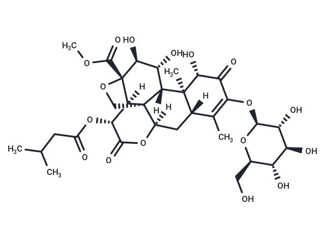 Yadanzioside B