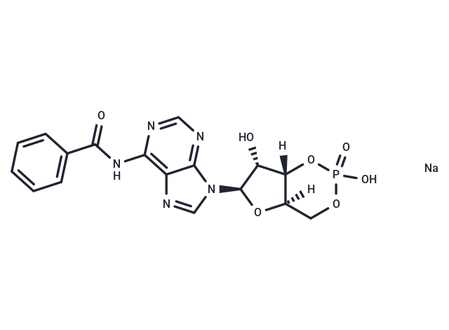 6-Bnz-cAMP sodium salt