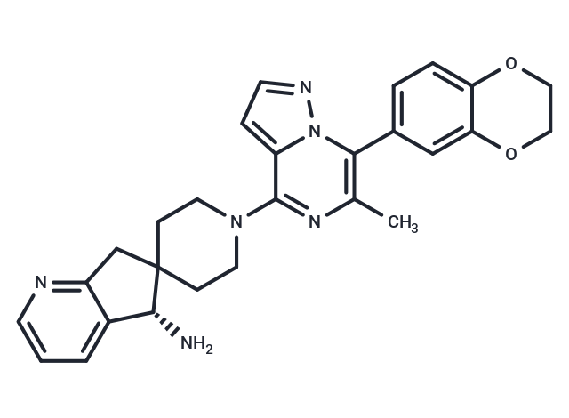 SHP2-IN-19