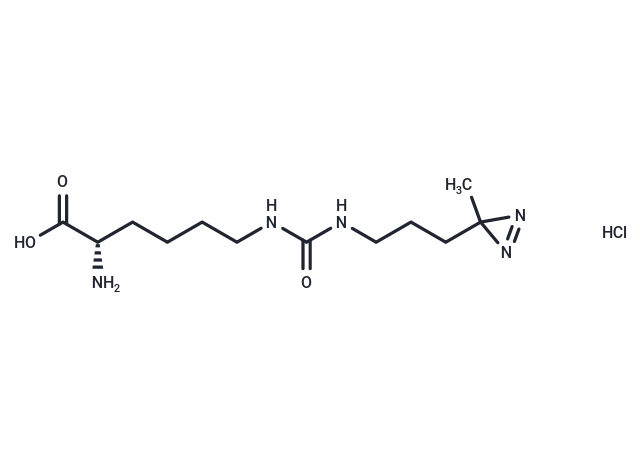 DiZPK Hydrochloride (1337883-32-5 free base)