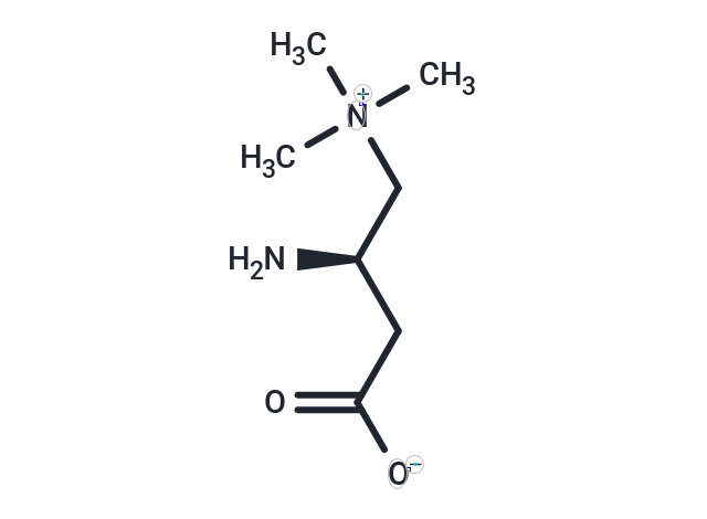 Aminocarnitine