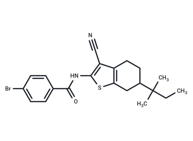 Glucagon Receptor Antagonist Inactive Control