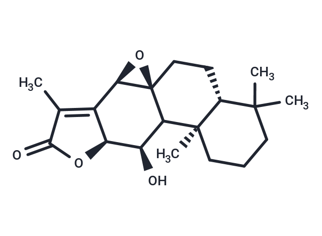 Ebracteolatanolide A