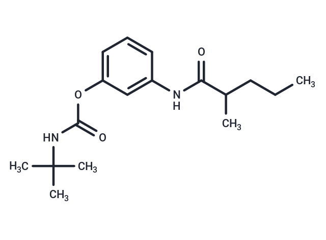 Valeranilide, 3'-hydroxy-2-methyl-, tert-butylcarbamate (ester)