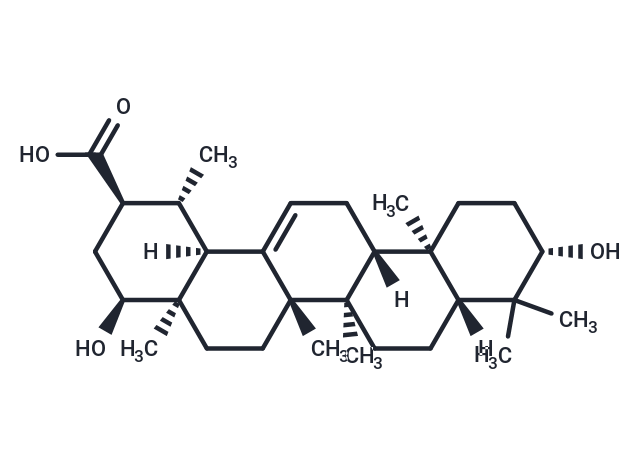 Triptotriterpenic acid C