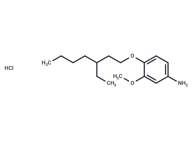 m-Anisidine, 4-((3-ethylheptyl)oxy)-, hydrochloride