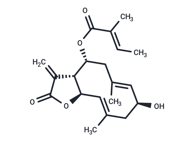 Mollisorin A