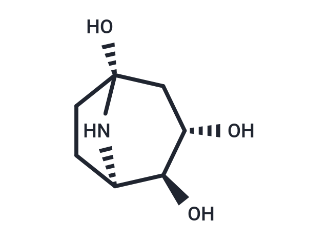 Calystegine A5