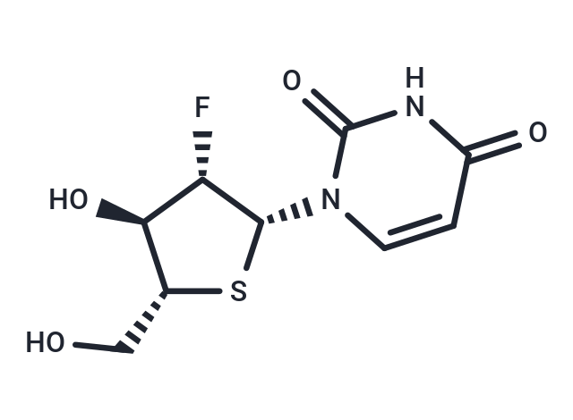 2’-Deoxy-2’-fluoro-4’-thio-b-D-arabinouridine