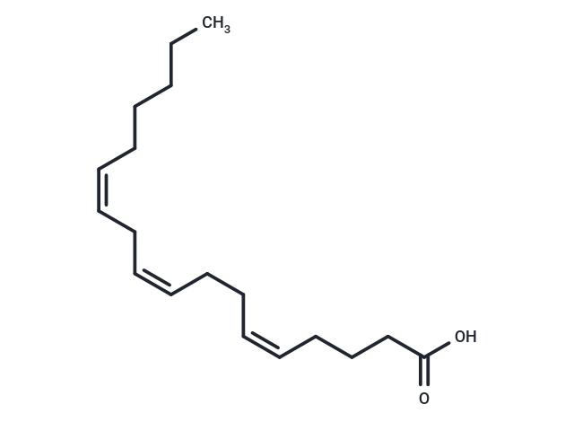 Pinolenic Acid