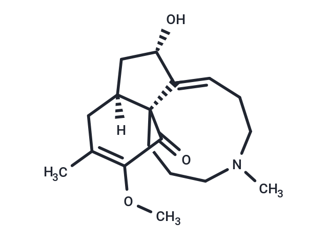 Lycophlegmarine