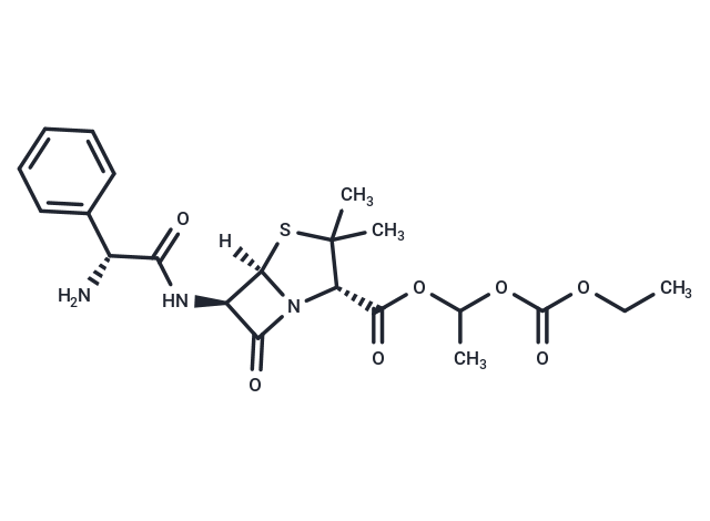 Bacampicillin