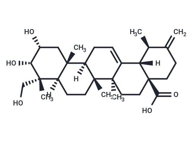 2a,3a,23-Trihydroxyurs-12,20(30)-dien-28-oic acid